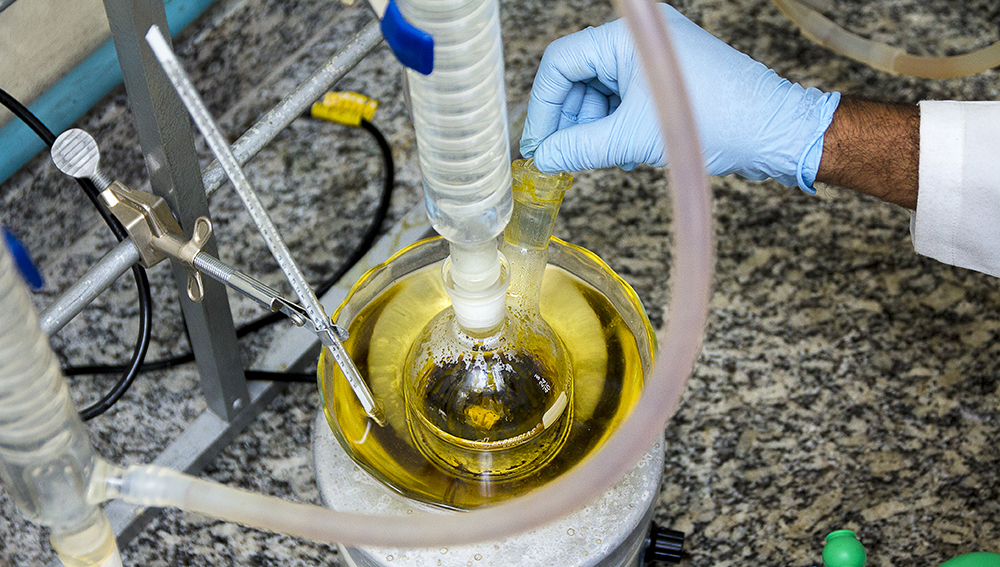 UFPA relança seis editais de fomento à pesquisa e pós-graduação em 2026